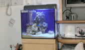 �M�ы�����
